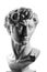 Gypsum head of Michelangelo\'s David