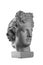 Gypsum statue of Apollo`s head