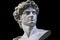 Gypsum statue of David\\\'s head on dark background - Michelangelo\\\'s iconic creation in plaster copy, generative AI