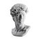 Gypsum statue of David`s head. Michelangelo`s David statue plaster copy isolated on white background. Ancient greek sculpture,