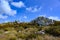 Gypsy Cove, beautiful landscape with summer vegetation in Yorke Bay, Stanley, Falkland Islands