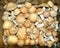 Gypsy mushrooms (Cortinarius caperatus) in a box.