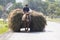 Gypsy in Romania doing transporting hay by horse and carriage