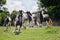 Gypsy Vanner Horses