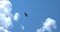 Gyrfalcon in flight against a blue sky and white cumulus clouds