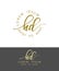 H D. Handdrawn Brush Monogram Calligraphy Logo Design