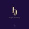 H and J gold monogram. High Jewelry boutique. Luxury logo. Logo can be used for business.