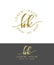 H K. Handdrawn Brush Monogram Calligraphy Logo Design