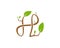 H letter leaf logo template