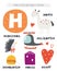 H letter objects and animals including hedgehog, helicopter, horse, heart, house, hamburger. Learn english alphabet