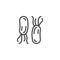 H. pylori bacteria Infection line icon