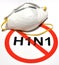 H1N1 Flu Prevention