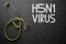H5N1 - Text on Chalkboard. 3D Illustration.