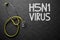 H5N1 - Text on Chalkboard. 3D Illustration.
