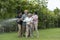 Haapy Asian family with smil lovely are watering a tree by tube in garden at outdoor house in morning