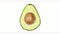 Haas avocado fruit with leaves watercolor time lapse 2D Animation