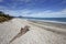 Haast beach, South Island of New Zealand