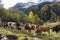 Habachtal with Cows in Austria