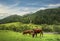 Habachtal, The High Tauern National Park