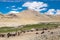 Habitat of Nomad people and their livestock near Tso Moriri Lake in Changtang, Ladakh, India