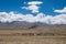 Habitat of Nomad people and their livestock near Tso Moriri Lake in Changtang, Ladakh, India