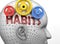 Habits and human mind - pictured as word Habits inside a head to symbolize relation between Habits and the human psyche, 3d