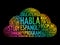 Habla Espanol? (Speak Spanish?) word cloud concept