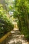 Hacienda Alemana Garden area filled with Bamboo