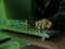 Hacker Typing on Keyboard with Dark Green Light Background