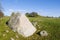 The Hacon Stone runestone