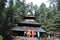 Hadimba Mata Temple, Manali, Himachal