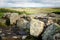 Hadrian`s Wall at Walltown Crags