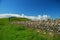 Hadrian wall trail, english country landscape