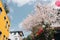 Haeundae Haeunjeongsa temple with cherry blossoms in Busan, Korea