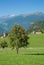 Hafling,Merano,South Tyrol,Italy