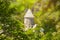 Haghartsin Monastery founded in the 11th century among lush forest and mountains of Dilijan national park