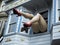 Haight-Ashbury, comic female legs with tights and red heels through window in a blue house - San Francisco, California, CA