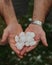 Hail in hands after the hailstorm