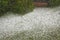 Hail Storm Disaster