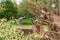 Hail storm effects in Germany. A city park in Bavaria. Broken trees after the storm. Destruction in the city.