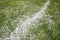 Hailstones on a grass after storm