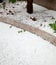 Hailstorm in the garden