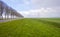 Hailstorm over a green meadow in the countryside below a stormy cloudy sky in sunlight in spring