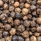 Hainan black pepper close up