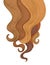 Hair background. Color hairdressing salon frame design