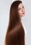 Hair.Beautiful woman with luxurious long hair. Gorgeous Model Girl with Healthy brown smooth shiny straight Hair.