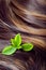 Hair care concept: beautiful shiny hair with highlights and green leaves