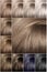 Hair color palette with a wide range of samples. Samples of colored hair colors. Shades of cold colors.