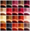 Hair colors palette. Tints