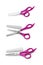 The Hair cutting scissors on a white background,with clipping path